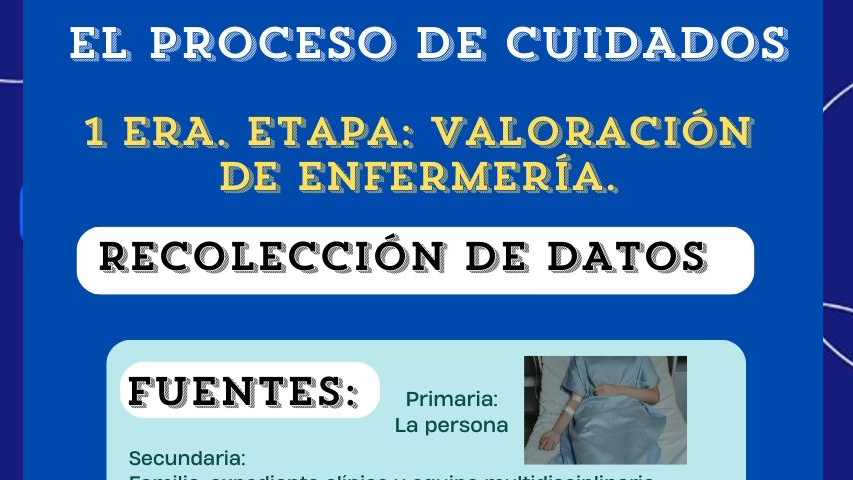 Imagen 9
